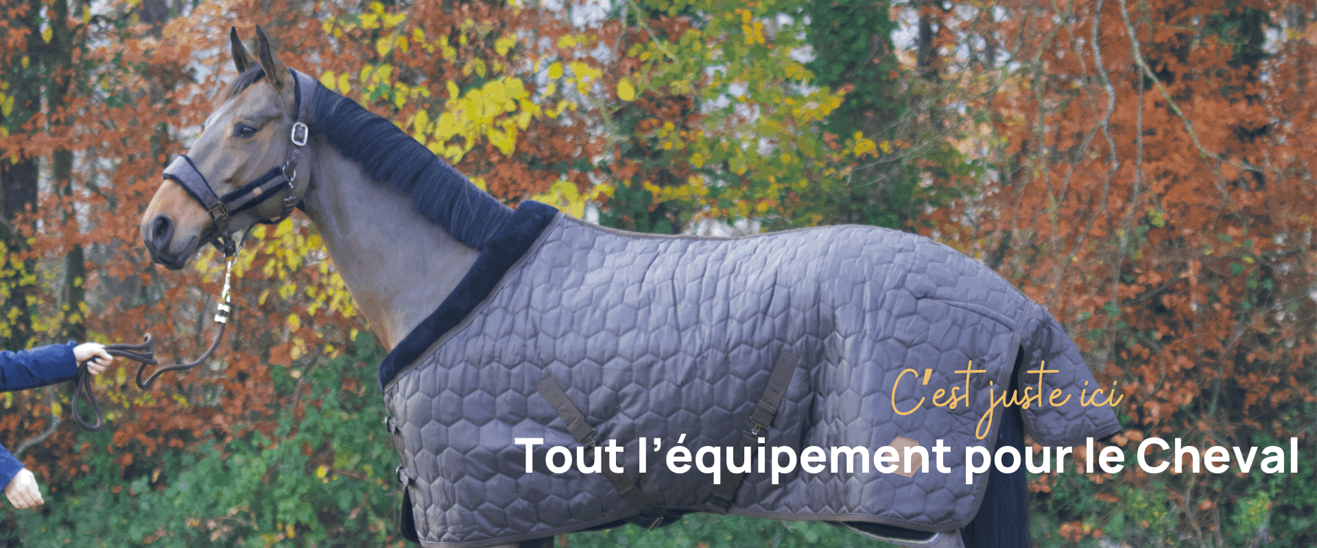 Tout l'équipement pour le Cheval