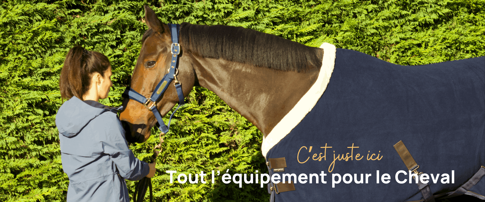 Tout l'équipement pour le Cheval