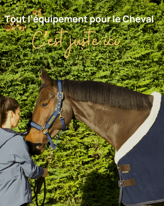 Tout l'équipement pour le Cheval