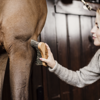 BOUCHON DUR Myhorsely I L'équipement des chevaux et du cavalier. Magasin en ligne d'équitation dédié au cavalier