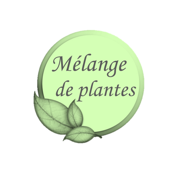 Lymphanmix - Engorgement des tendons et drainage cheval - Mélanges de plantes