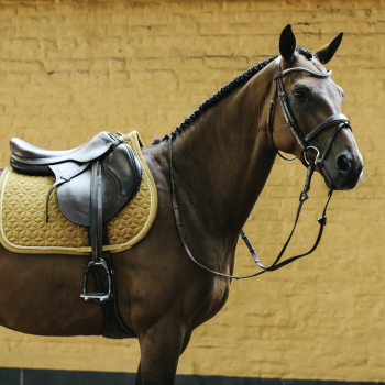 TAPIS VELVET JUMPING Myhorsely I L'équipement des chevaux et du cavalier. Magasin en ligne d'équitation dédié au cavalier