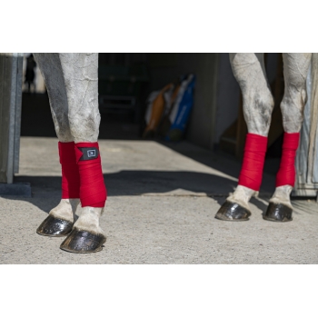 BANDES DE POLO RIDING WORLD "ECO"