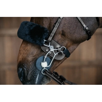 Protection de Hackamore