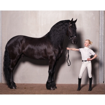 Pantalon d'équitation junior Pearl