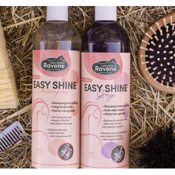 SHAMPOOING RAVIVEUR DE TEINTE EASY SHINE