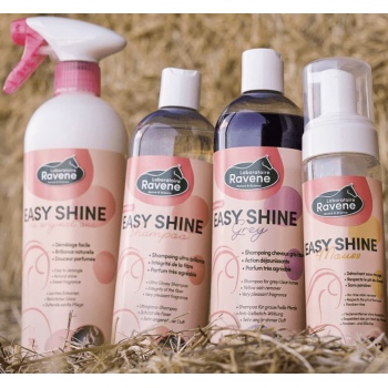 SHAMPOOING RAVIVEUR DE TEINTE EASY SHINE