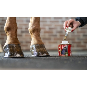 LIQUID HOOF DRESSING (OIL)