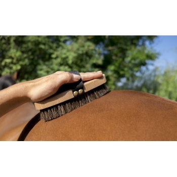 BROSSE EXTRA-DOUCE HIPPOTONIC