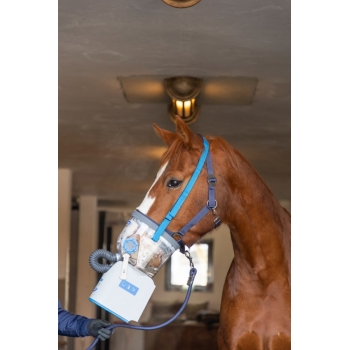 Inhalateur à ultrasons sans fil pour chevaux AirOne Flex