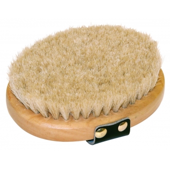 Brosse de lustrage